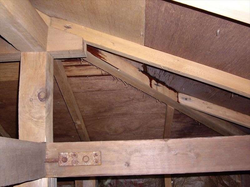 雨漏りの初期症状とは？