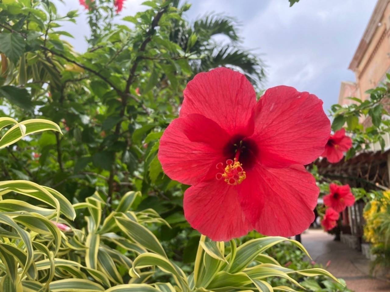 社員旅行｜沖縄｜株式会社Ｋ’ｓ